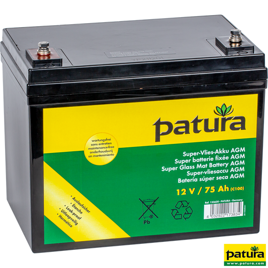 Super-Vlies-Akku 12 V / 75 Ah C100 wartungsfreie Vliesbatterie