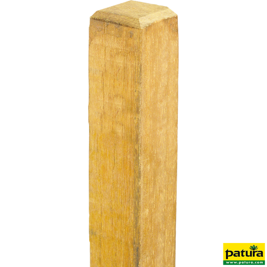 Robinienpfahl, vierkant, 2000x80x80 mm gesägt, gefast, 4-fach gespitzt, sägerau