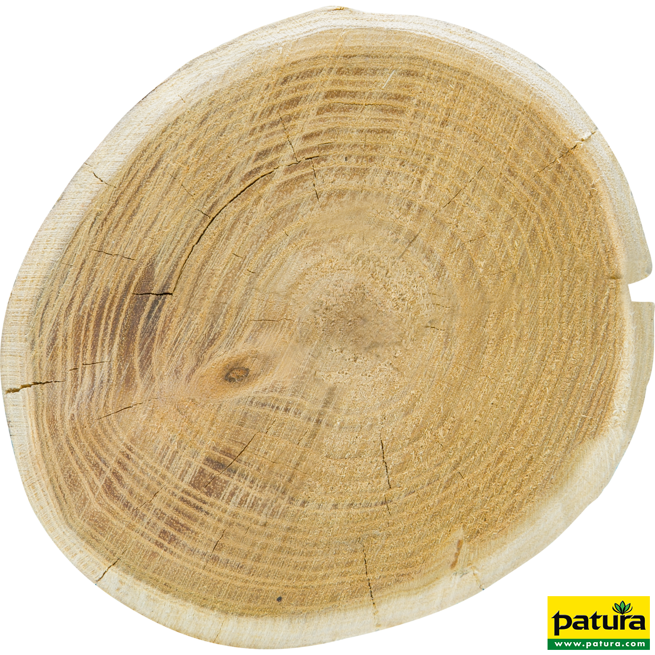Robinienpfahl, rund, 2500 mm, d=14-16 cm gefast, 4-fach gespitzt, entrindet