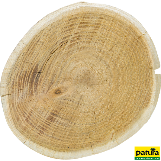 Robinienpfahl, rund, 2250 mm, d=14-16 cm gefast, 4-fach gespitzt, entrindet