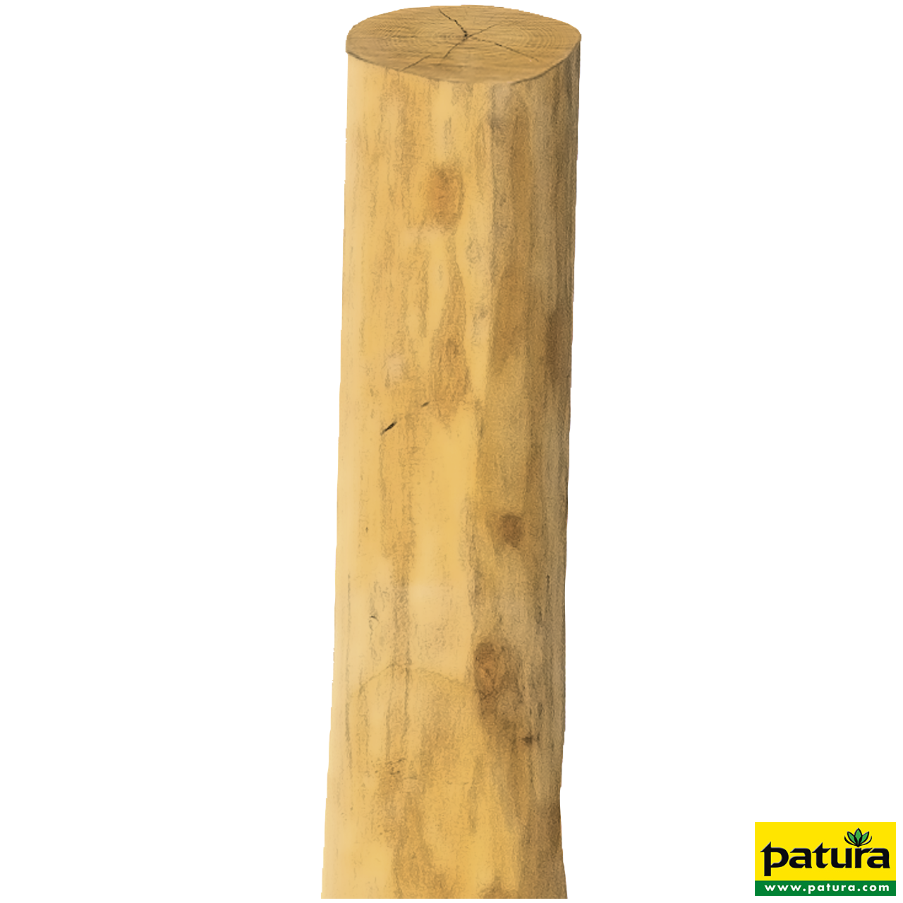 Robinienpfahl, rund, 2250 mm, d=14-16 cm gefast, 4-fach gespitzt, entrindet