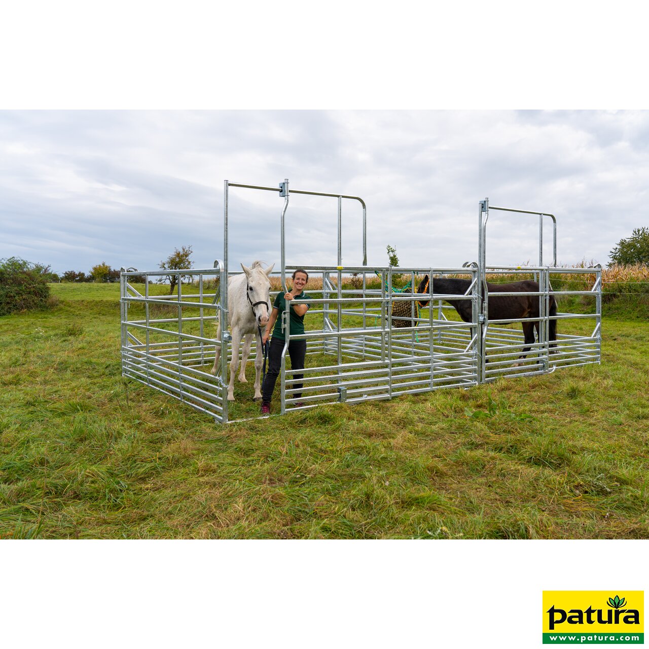 Sicherheits-Pferde-Panel mit Schiebetor 3,00 m, Höhe 2,50 m