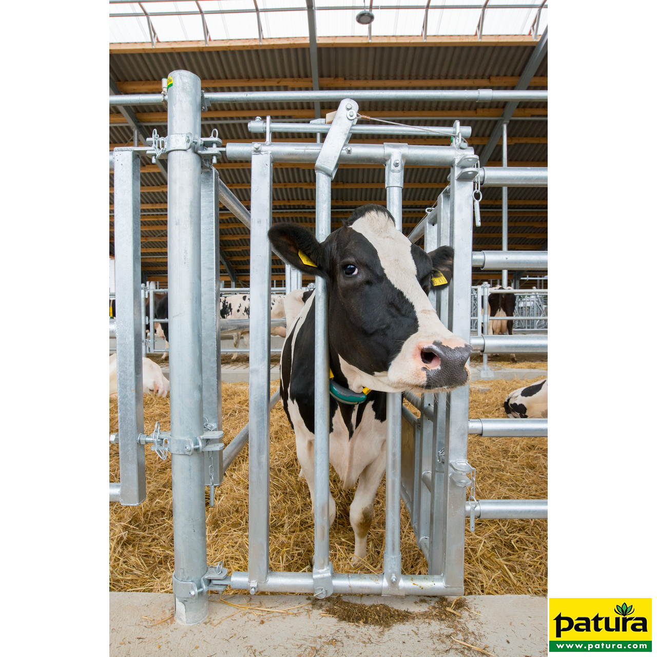 Fressgitter für Tierbehandlung mit Einschub R5