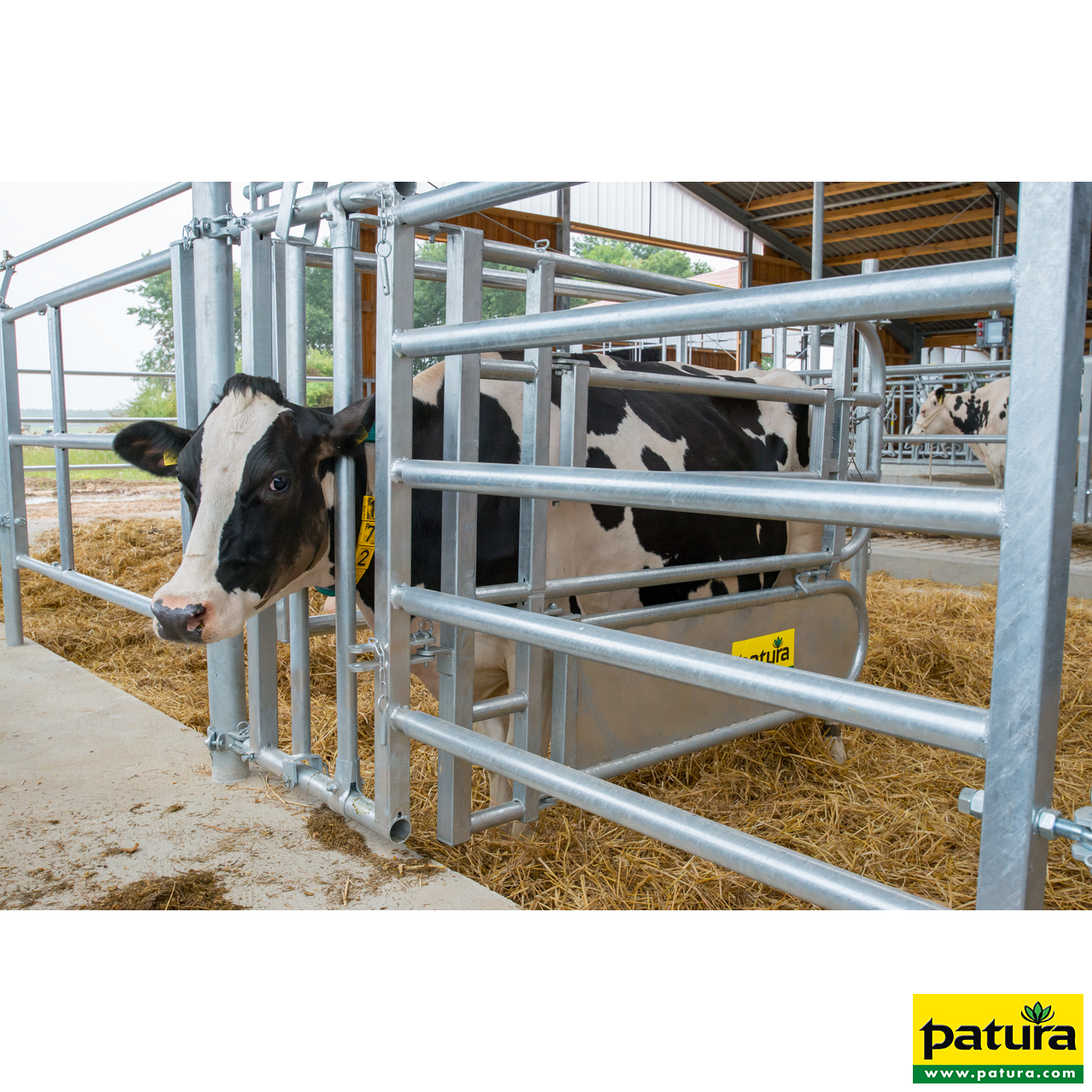 Fressgitter für Tierbehandlung mit Einschub R5