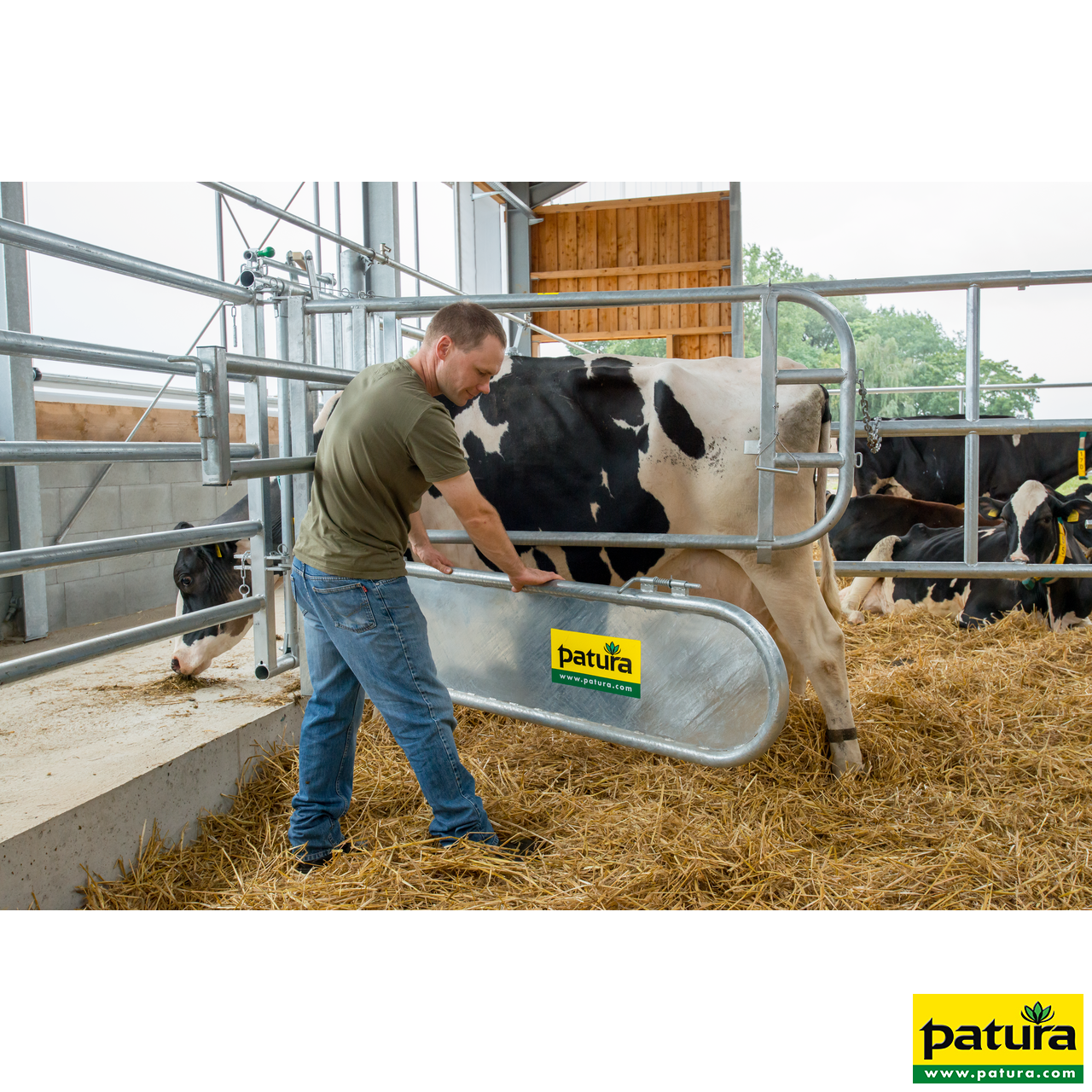 Abtrennung für Tierbehandlung