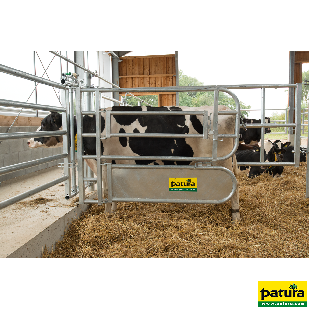 Abtrennung für Tierbehandlung
