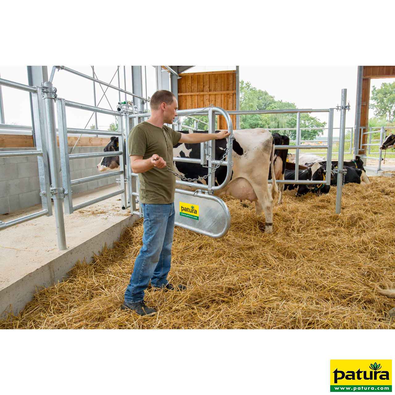 Abtrennung für Tierbehandlung