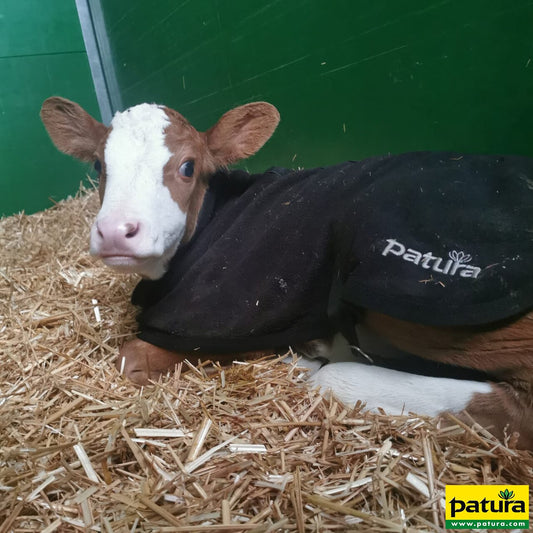 PATURA Kälberdecke Fleece Größe S Rückenlänge 60 cm
