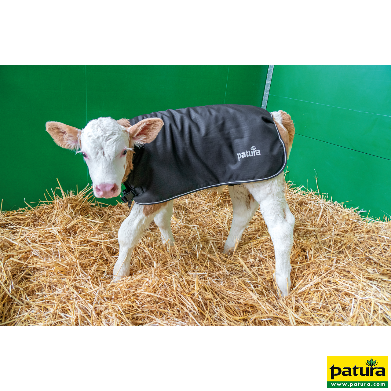 PATURA Kälberdecke Größe M Rückenlänge 67 cm