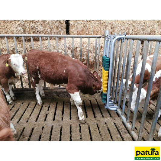 Bullenbürste mit Schutzkorb, gefedert