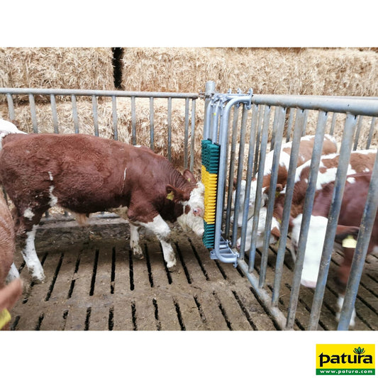 Bullenbürste mit Schutzkorb, gefedert