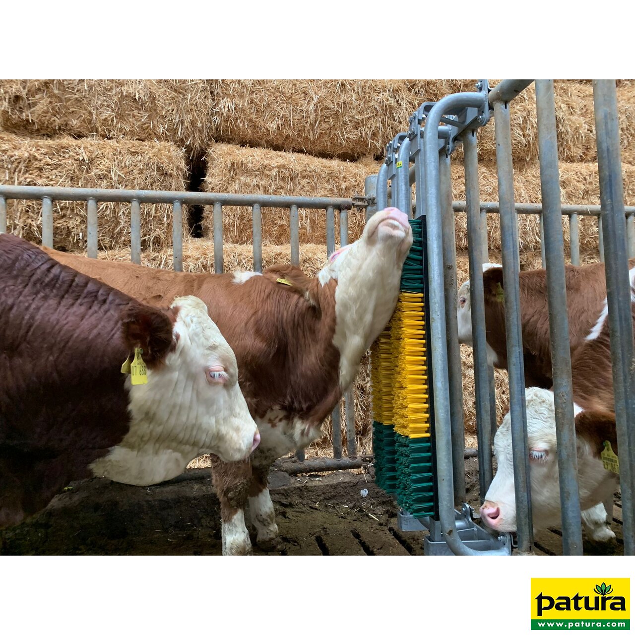 Bullenbürste mit Schutzkorb, gefedert