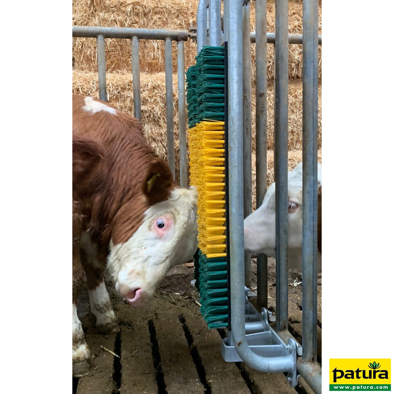 Bullenbürste mit Schutzkorb, gefedert