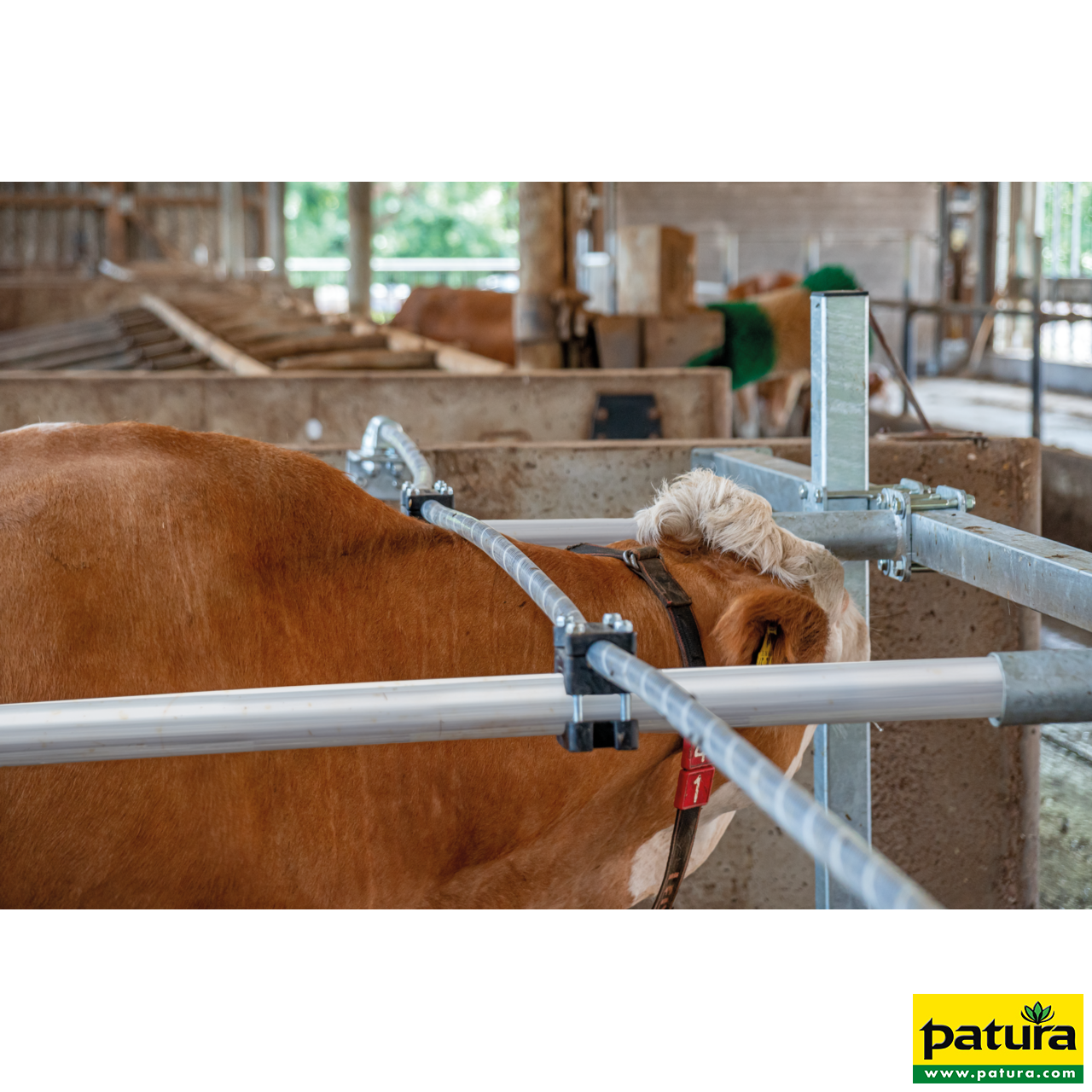 Flexibles Nackenseil 30 m
