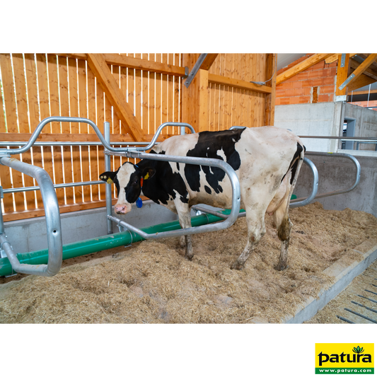 Gewelltes Nackenrohr, 2 Plätze für Liegeboxenbreite 1,25 m