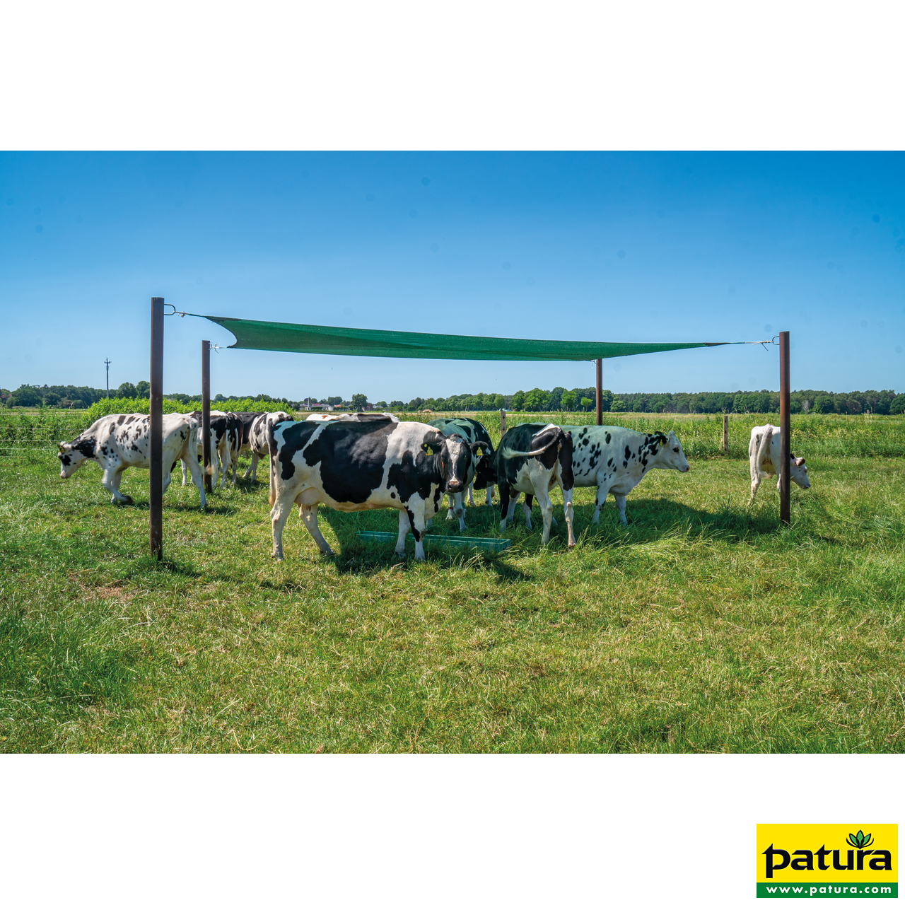Beschattungsnetz 6,0 x 4,0 m Spezialnetz M75 grün