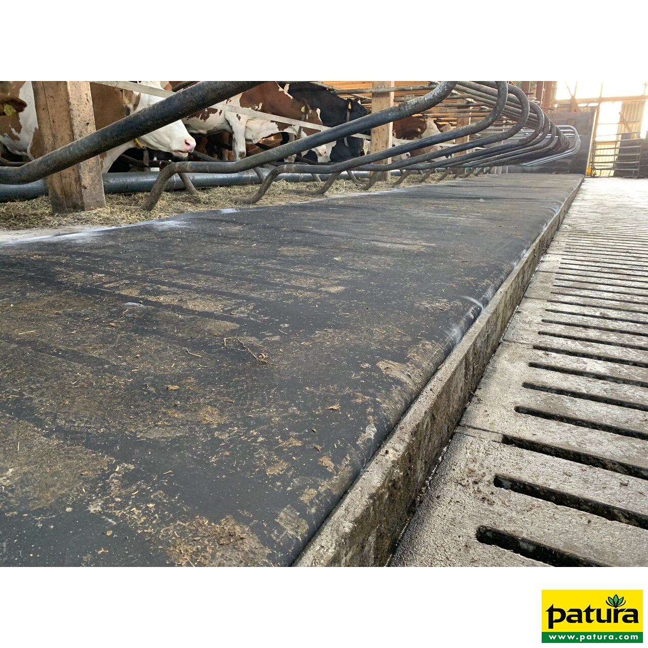 Latex-Matratze, Liegeboxentiefe 1,70 m, Meterware,