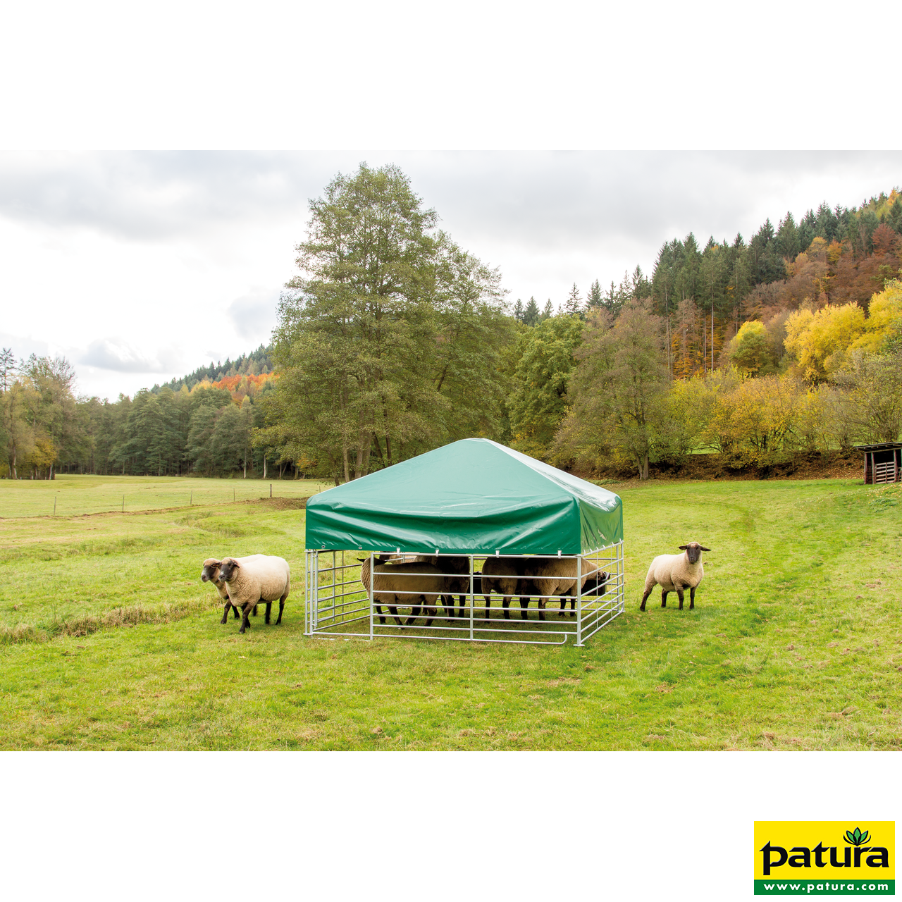 Steckfix-Dach 2,75 m x 2,75 m