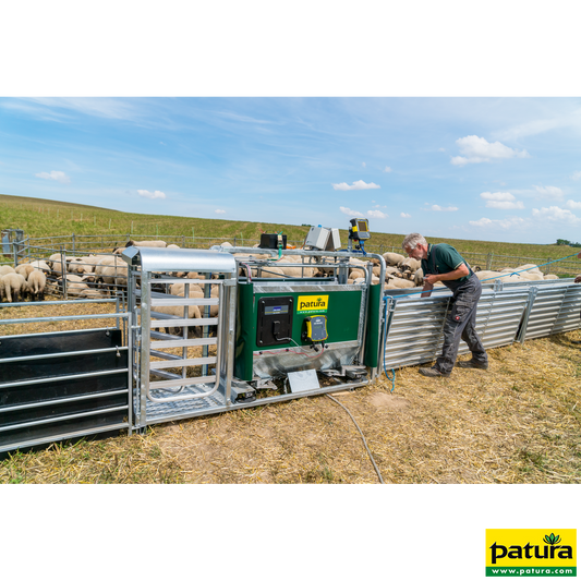 3-Wege- Wiege- und Sortierbox mit Druckluftbetrieb