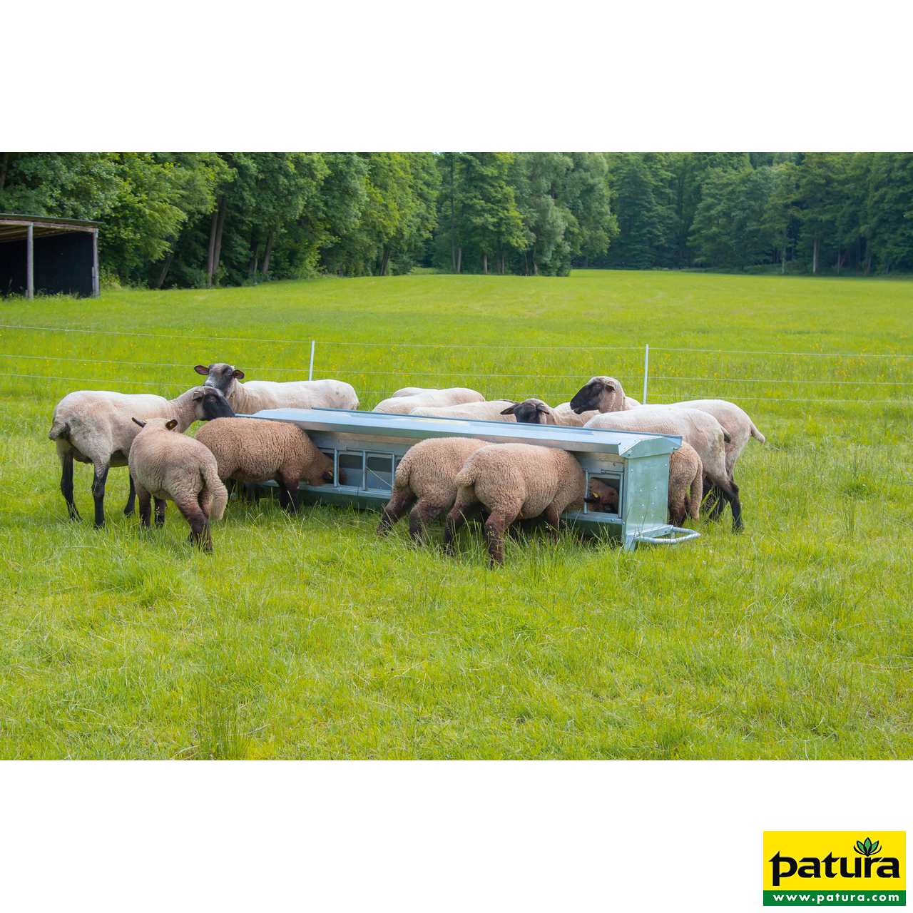 Lämmer-Futterautomat, L= 1,25 m, fahrbar Inhalt ca. 120 ltr., mit Dach, verzinkt