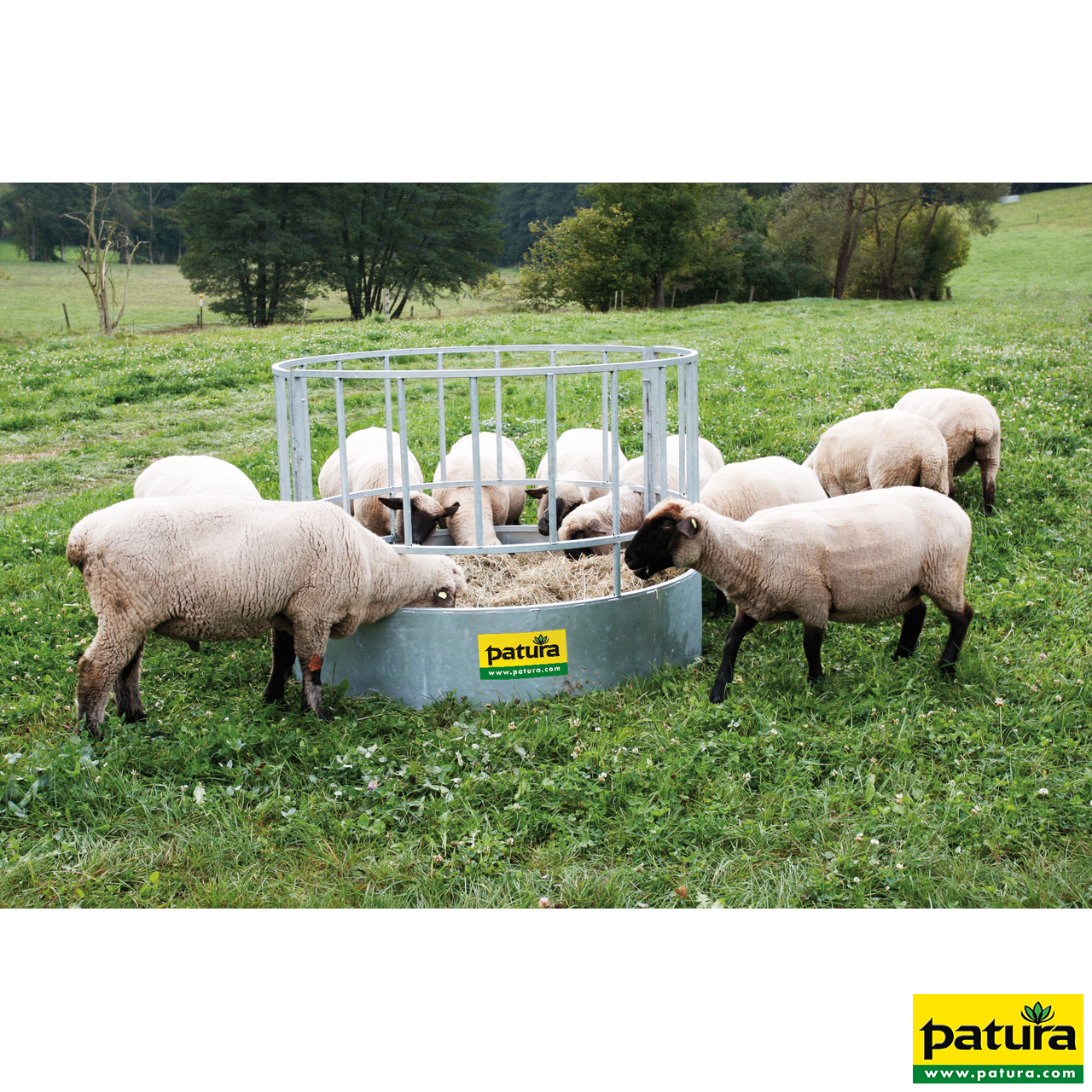 Rundraufe für Schafe, 20 Plätze verzinkt, 2-teilig