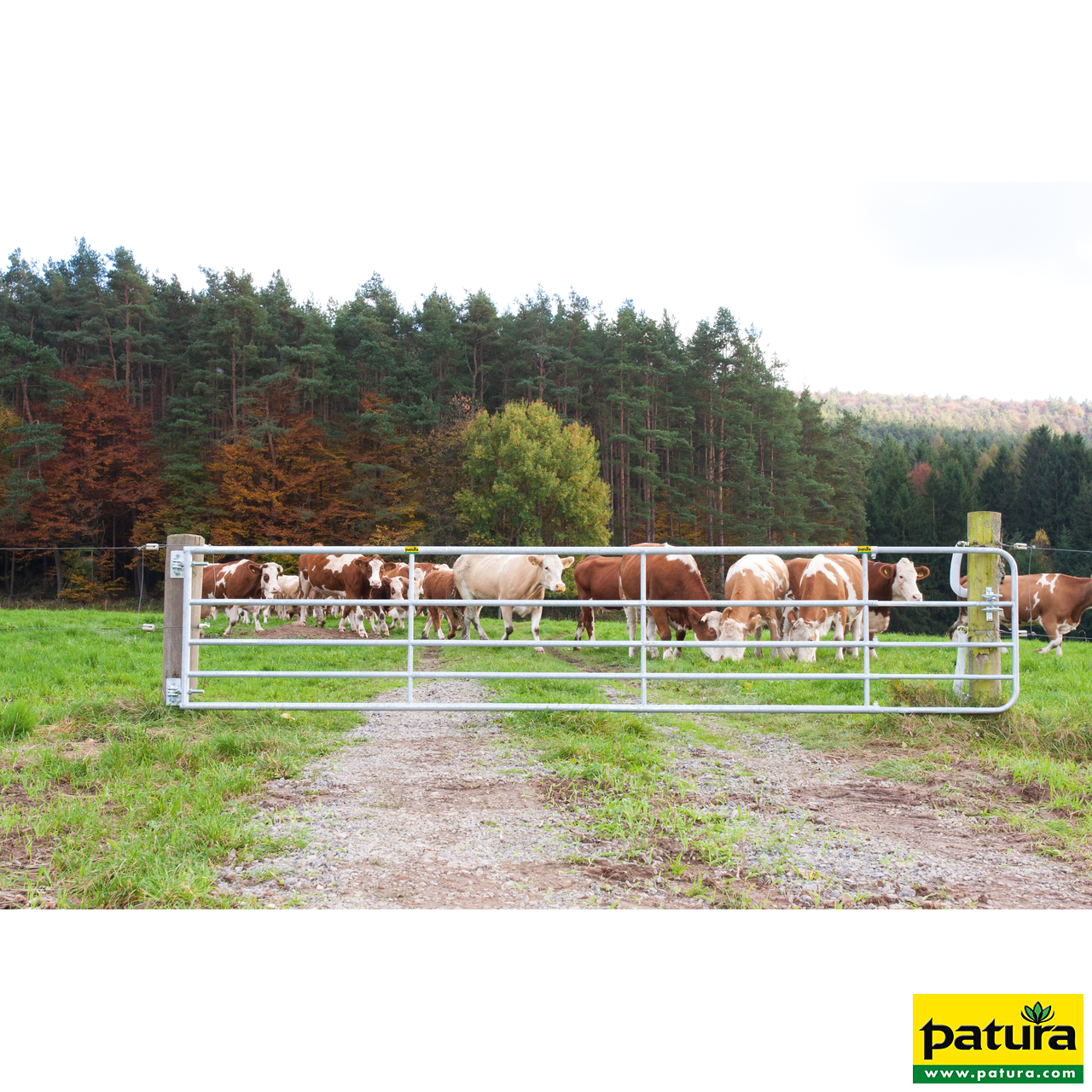 Profi-Weidezauntor, verstellbar, 0,90 m hoch, 4,00 - 5,00 m,