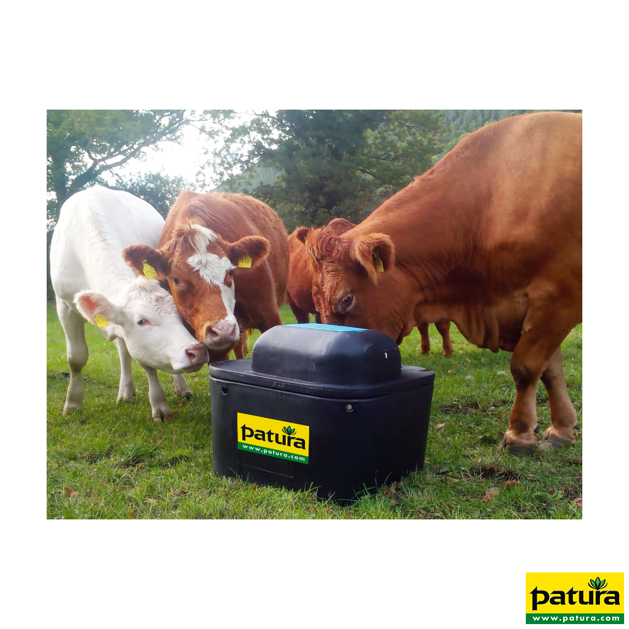 Farmdrinker 1 Ball, 57 Liter mit Zubehör